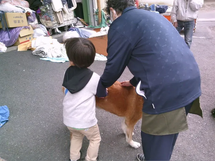 こぱんはうすさくら 草加両新田教室/お散歩♪