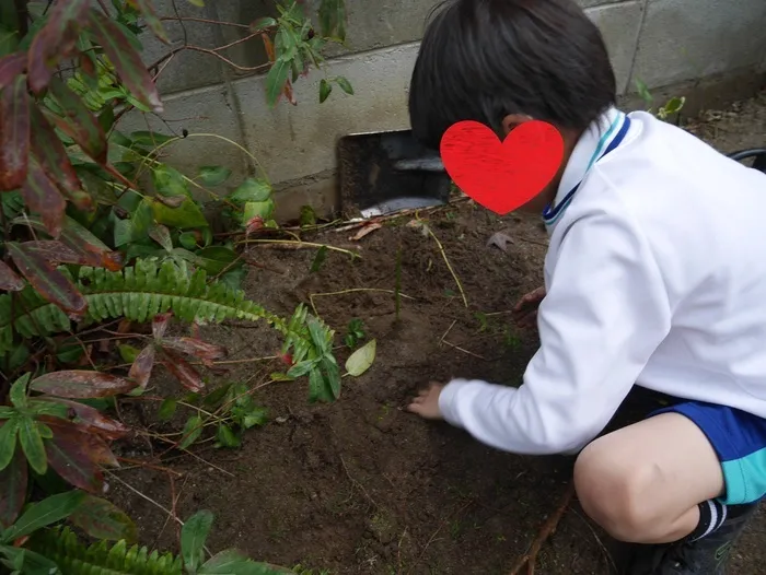 放課後等デイサービス　ガリレオ/雨上がりの一日　ザリガニくんが天国に