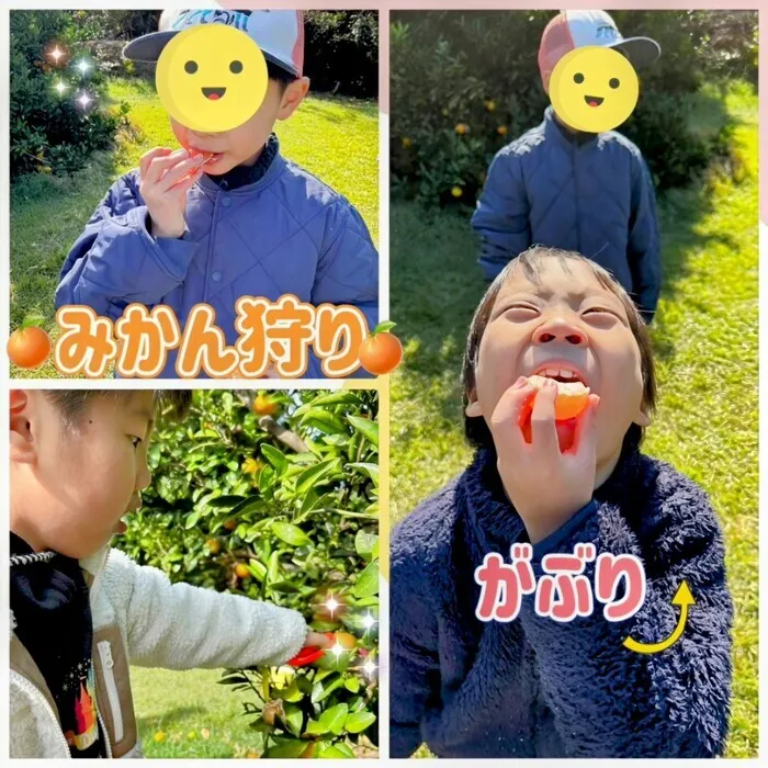 スマイルアルファもとすみよし/お出掛けでみかんがりに行ってきました🍊