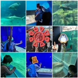 放課後等デイサービス　けやきの森/海遊館🐡