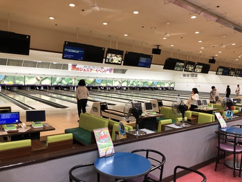 らんらん青空/スタッフの専門性・育成環境
