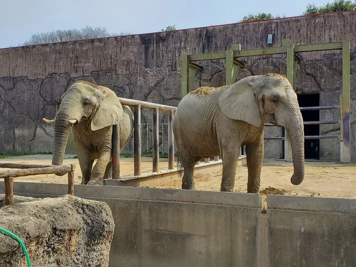 らんらん青空/外出レク(東武動物公園　埼玉県宮代町）