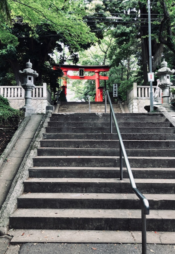 ドリームボックス川口峯/外部環境