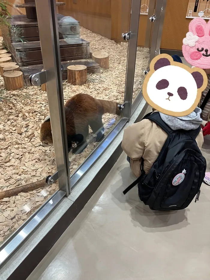 放課後等デイサービス　みつばち/動物園に行ってきたよ！