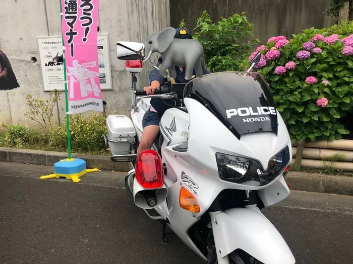 放課後等デイサービス　みつばち/白バイ・パトカーに乗らせてもらいました🚔