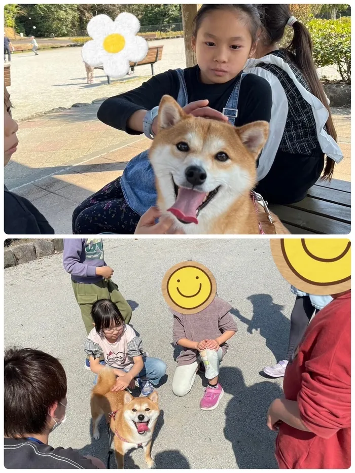 放課後等デイサービス　みつばち/柴犬と小鹿の森公園⛲️🐕