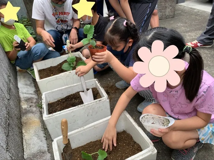 放課後等デイサービス　みつばち/野菜の苗植えをしたよ🍅🍆