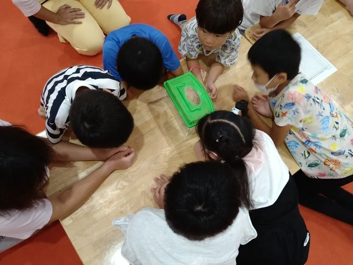 放課後等デイサービス　みつばち/カマキリの捕食！