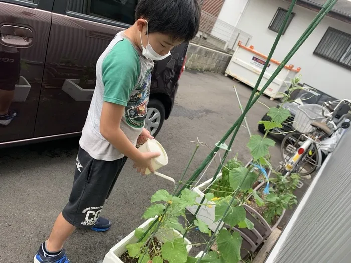 放課後等デイサービス　みつばち/🥒野菜の水やり🍅