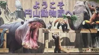 こぱんはうすさくら札幌月寒教室/円山動物園に行ってきました！