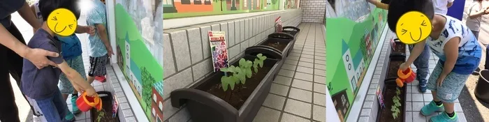 わくわくハウス桶川西校/芽が出ました！