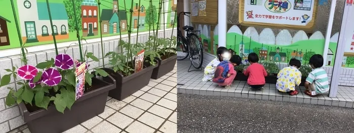 わくわくハウス桶川西校/🌺素敵なお花🌺