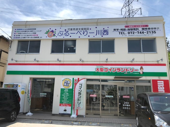 ぶるーべりー川西
