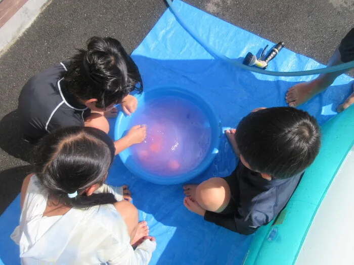 【広い室内遊び場が魅力！】ぷらすてん/みずあそび！！