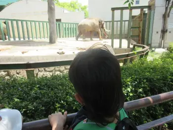 ぷらすてん/王子動物園にお出かけしました！