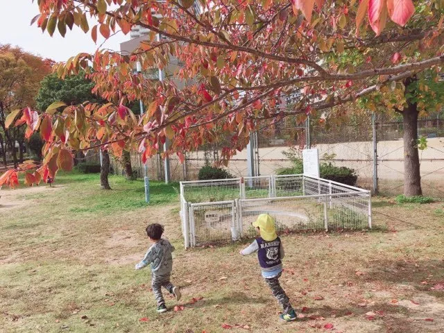 LEGON Kids 都島/文化祭に行ってきました🌞