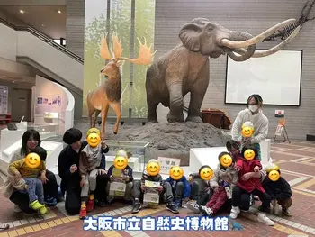 LEGON Kids 都島/大阪市立自然史博物館に行ってきました🦖
