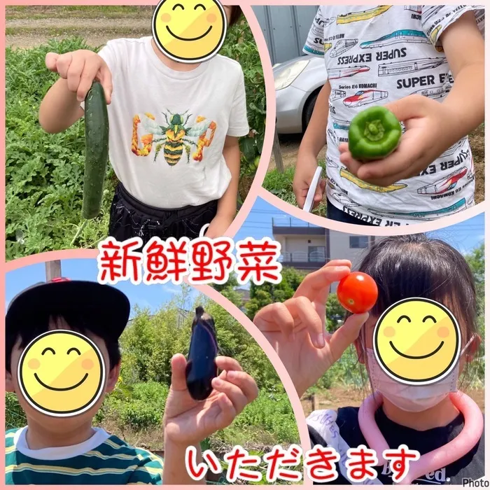 児童発達支援・放課後等デイサービス　ヒトツナ/夏野菜収穫🍅🍆🥒🫑