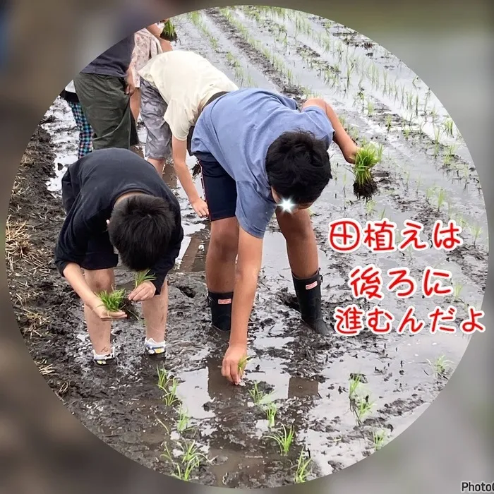 児童発達支援・放課後等デイサービス　ヒトツナ/田植え体験🌾