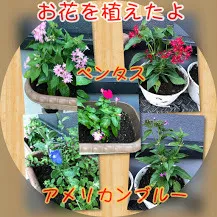 児童発達支援・放課後等デイサービス　ヒトツナ/🏵お花を植え替えしました🏵