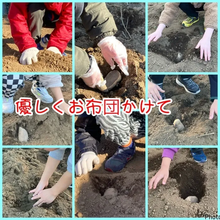 児童発達支援・放課後等デイサービス　ヒトツナ/ヒトツナ農園‼️じゃがいも植え🥔