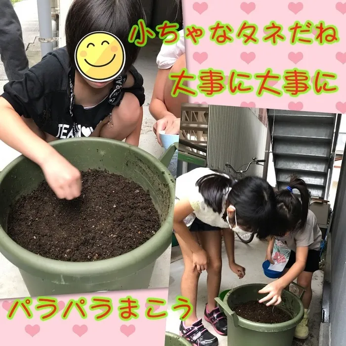 児童発達支援・放課後等デイサービス　ヒトツナ/★ヒトツナ菜園～野菜を植えました～★