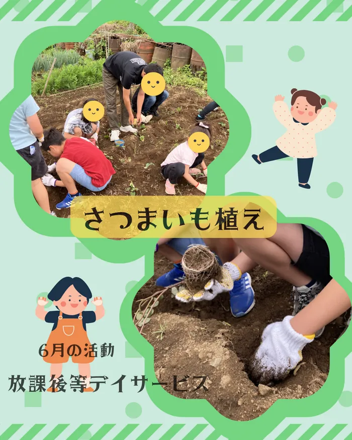 児童発達支援・放課後等デイサービス　ヒトツナ/サツマイモの苗植え