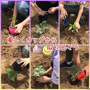 児童発達支援・放課後等デイサービス　ヒトツナ/ヒトツナ農園🌱 夏野菜を植えよう🌱