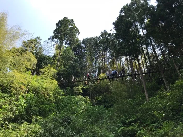 放課後等デイサービス　ぽかぽか/自然の中の公園を満喫