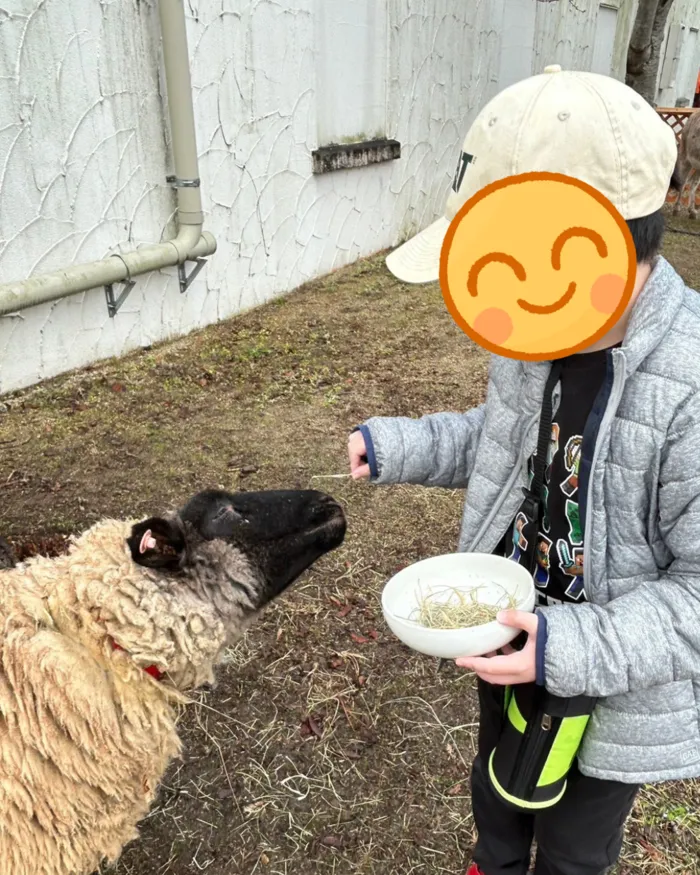 あそび王国　南輝事業所/ふれあい動物園でエサやり体験🐏