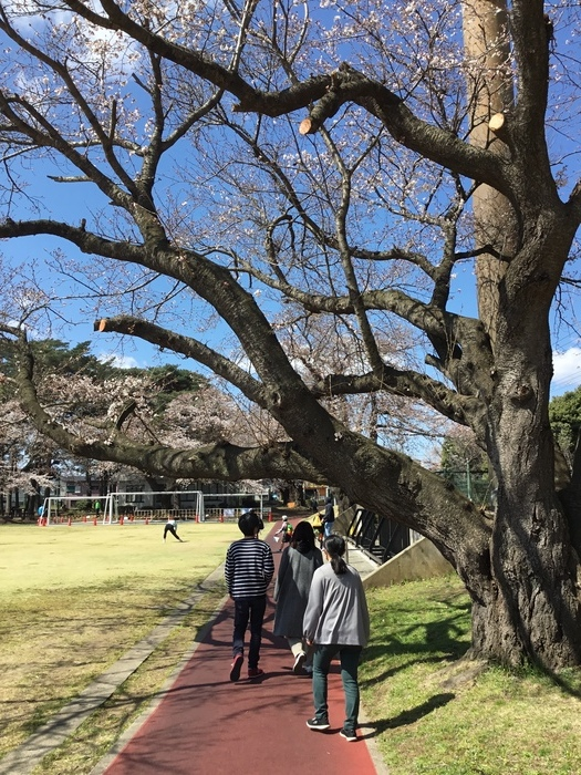 就労準備型放課後等デイサービスなかや勝田教室 空きあり 放課後等デイサービス ひたちなか市のブログ お花見散歩 Litalico発達ナビ 就労準備型放課後等デイサービスなかや勝田教室 空きあり 放課後等デイサービス ひたちなか市のブログ お花見散歩 Litalico発達ナビ