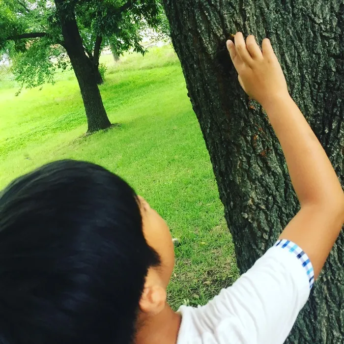 放課後等デイサービス　HALO-はろ-/🌳公園での様子🌳