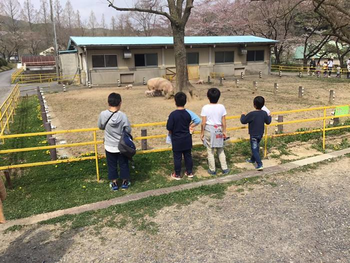 こだまの森アフタースクール岐阜