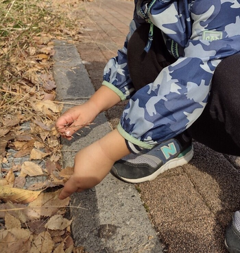 児童発達支援・放課後等デイサービス　lulu（ルル）ちいさいおうち/落ち葉を見つけたよ！