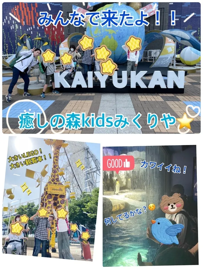 【人気大型遊具設置♪】放課後等デイサービス　癒しの森Kids　みくりや/みんなで海遊館🐠