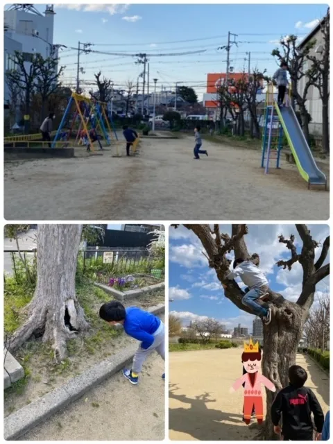 【人気大型遊具設置♪】放課後等デイサービス　癒しの森Kids　みくりや/毎日、公園‼