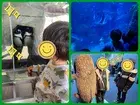 【人気の大型遊具設置♪】児童発達支援事業所　癒しの森Kids　みくりや/お出かけ🐟京都水族館