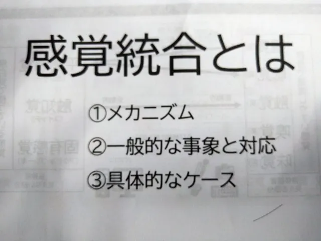 児童発達支援・放課後デイサービスさにーさいどあっぷ！/感覚統合の勉強会📝