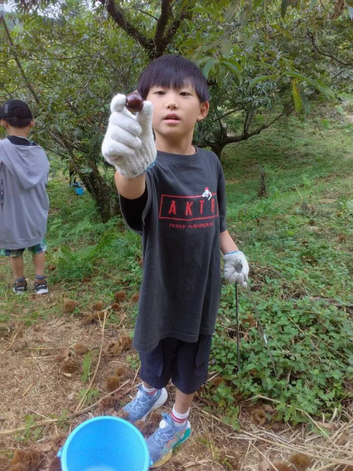 ちゃれんじくらぶ　那珂川教室/栗拾い🌰