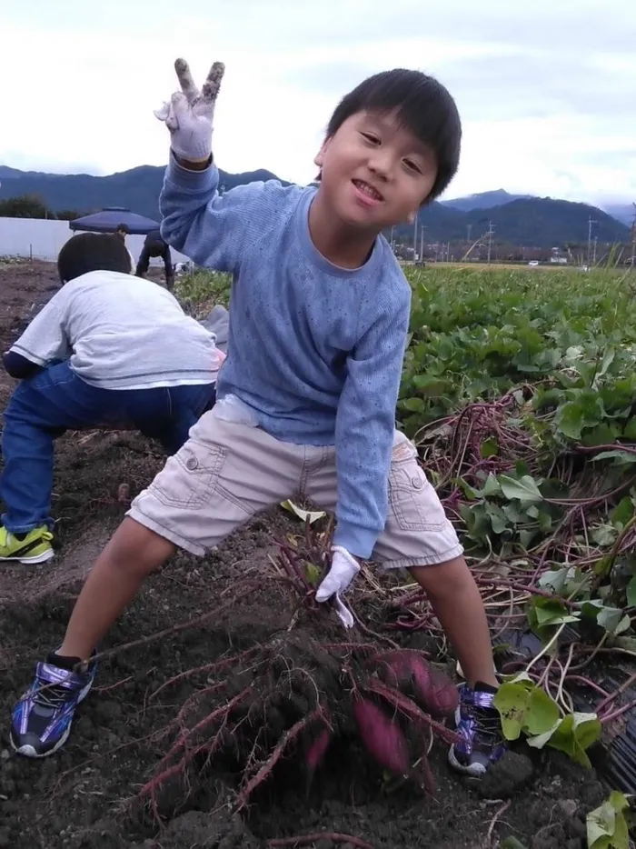 ちゃれんじくらぶ　那珂川教室/芋掘り🍠