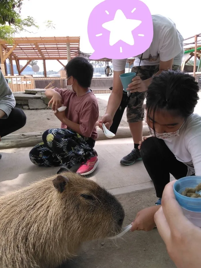 ちゃれんじくらぶ　那珂川教室/ふれあい動物園🦩🦜🐒🐐