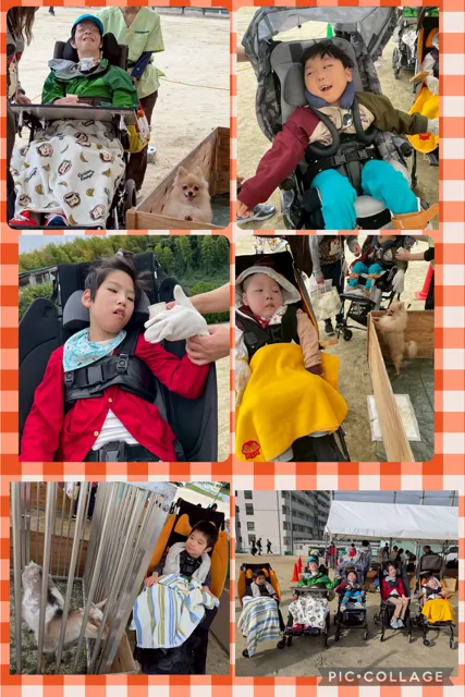 【重心】児童発達支援&放課後デイTOMODACHI柏原/移動動物園へ行きました(^^)/