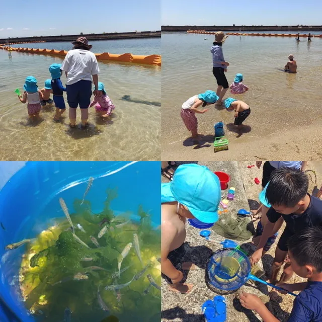 ポルカドット/小学生のお兄ちゃんが魚をとってくれたよ！