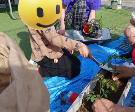 まごころ「しゅくれんじ」/ミニトマトを植えよう！