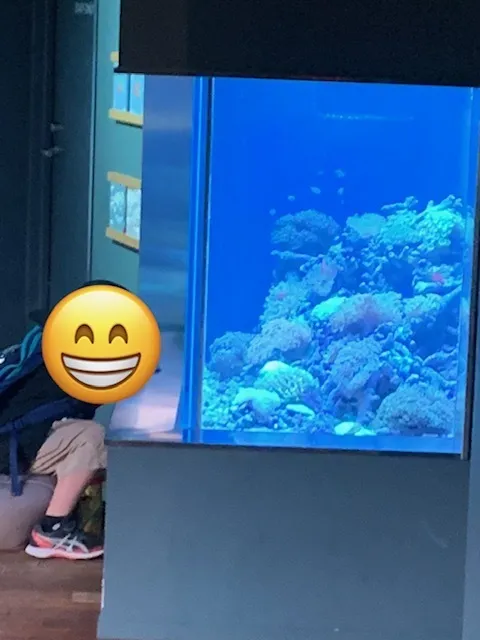 放課後等デイサービス　ガリレオ六甲道/みなとやま水族館へ行きました☆