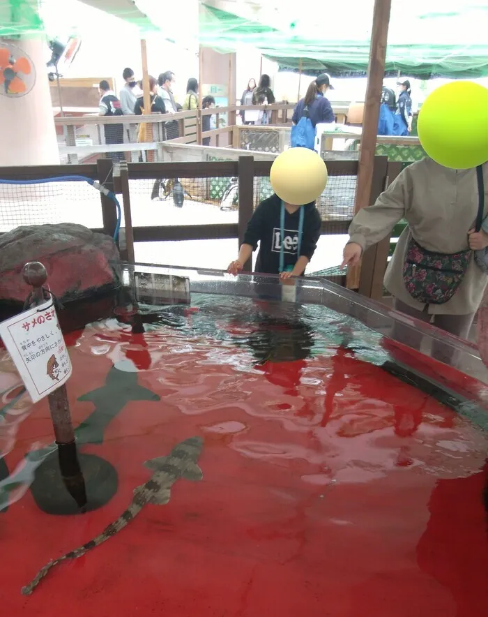 放課後等デイサービス　ガリレオ六甲道/須磨水族園にお出かけ