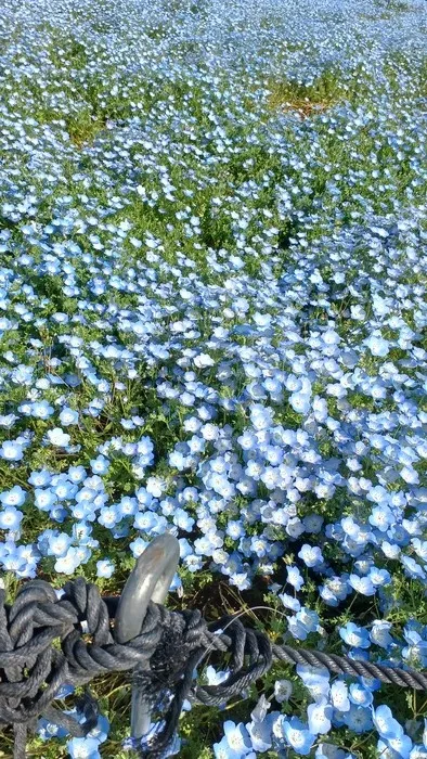 運動療育のはじめのいっぽ　今福教室/いっぽクラブin長居公園