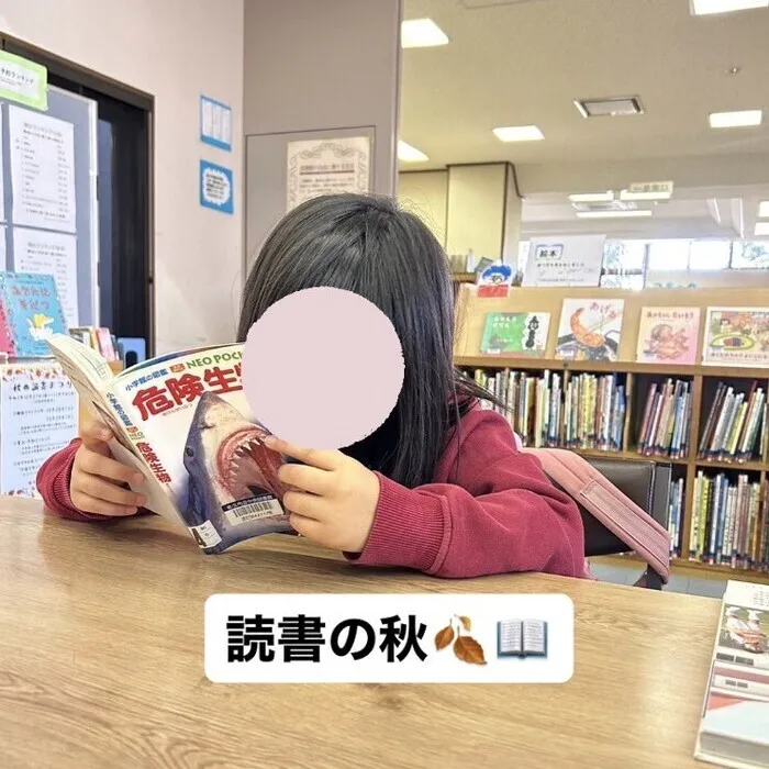 いつも。/読書の秋📚