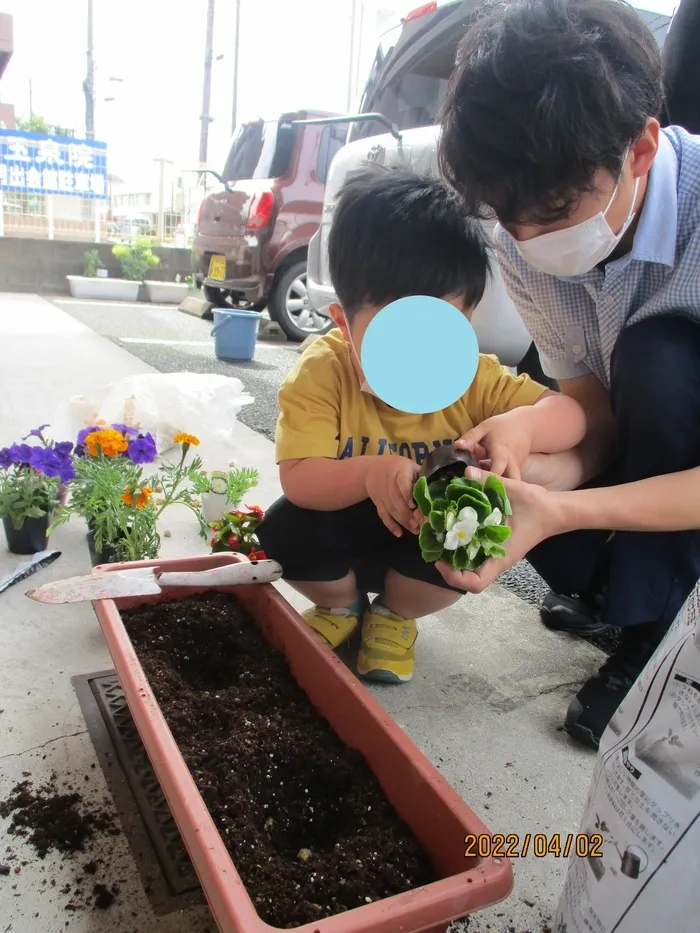 ここぷらす日赤通り/🌼お花を植えよう🌼