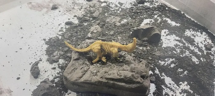 ハッピーテラス　鴻巣教室/化石発掘🦕